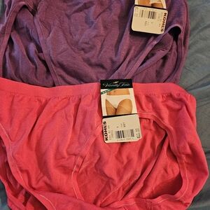 Women bikini panties size 6m. I Purple And 1 Pink